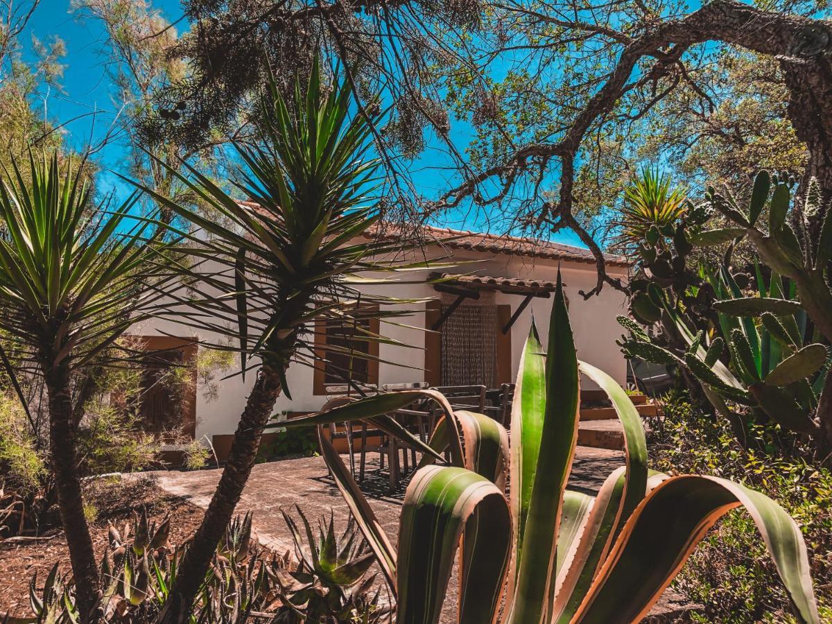 Casa Dos Anoes Sao Luis